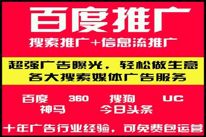SEM搜索引擎优化：广告创意的策划与执行